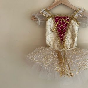 Vintage Glistening Angel Costume